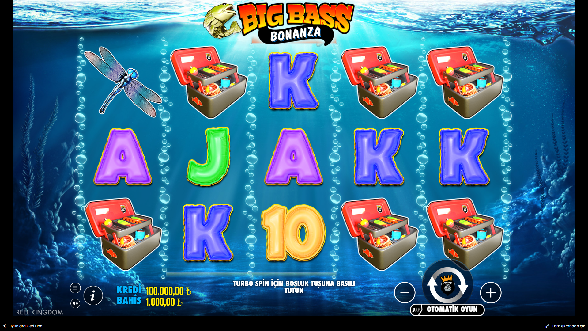 Big Bass Bonanza Gameplay