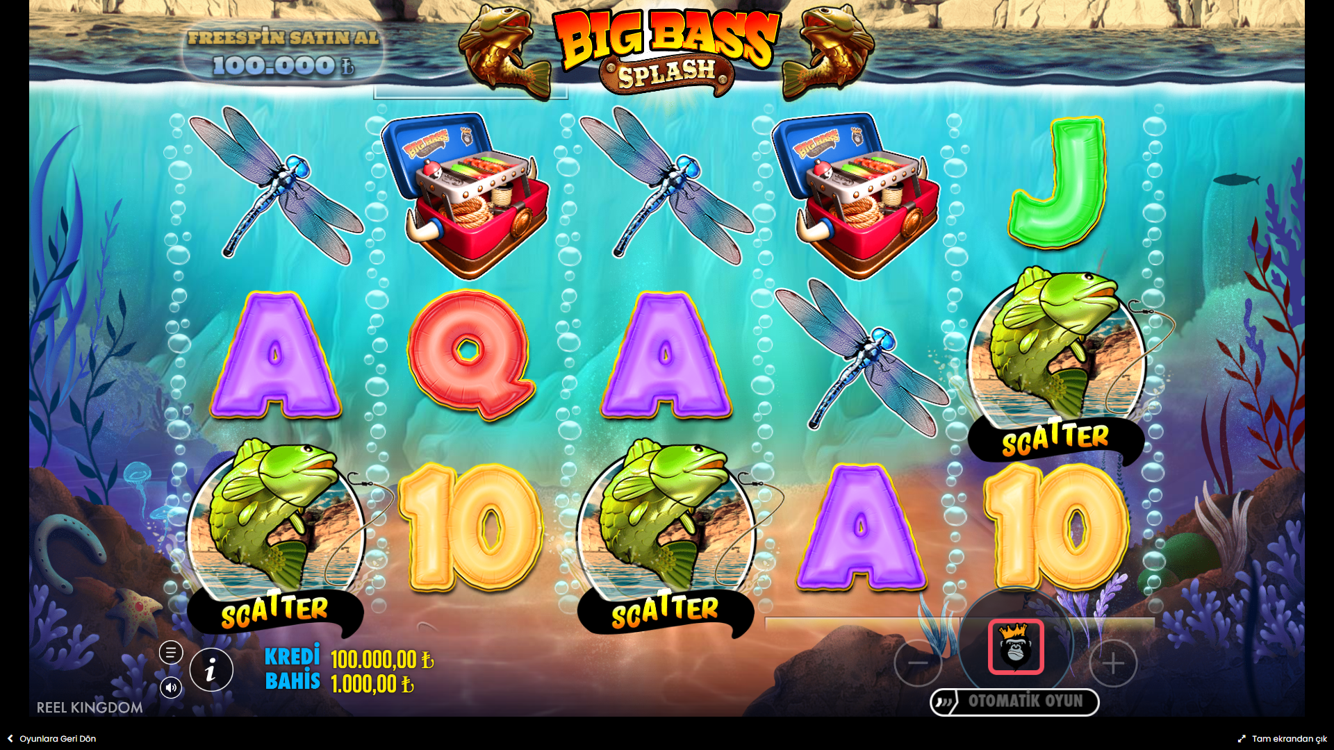 Big Bass Splash Bonus