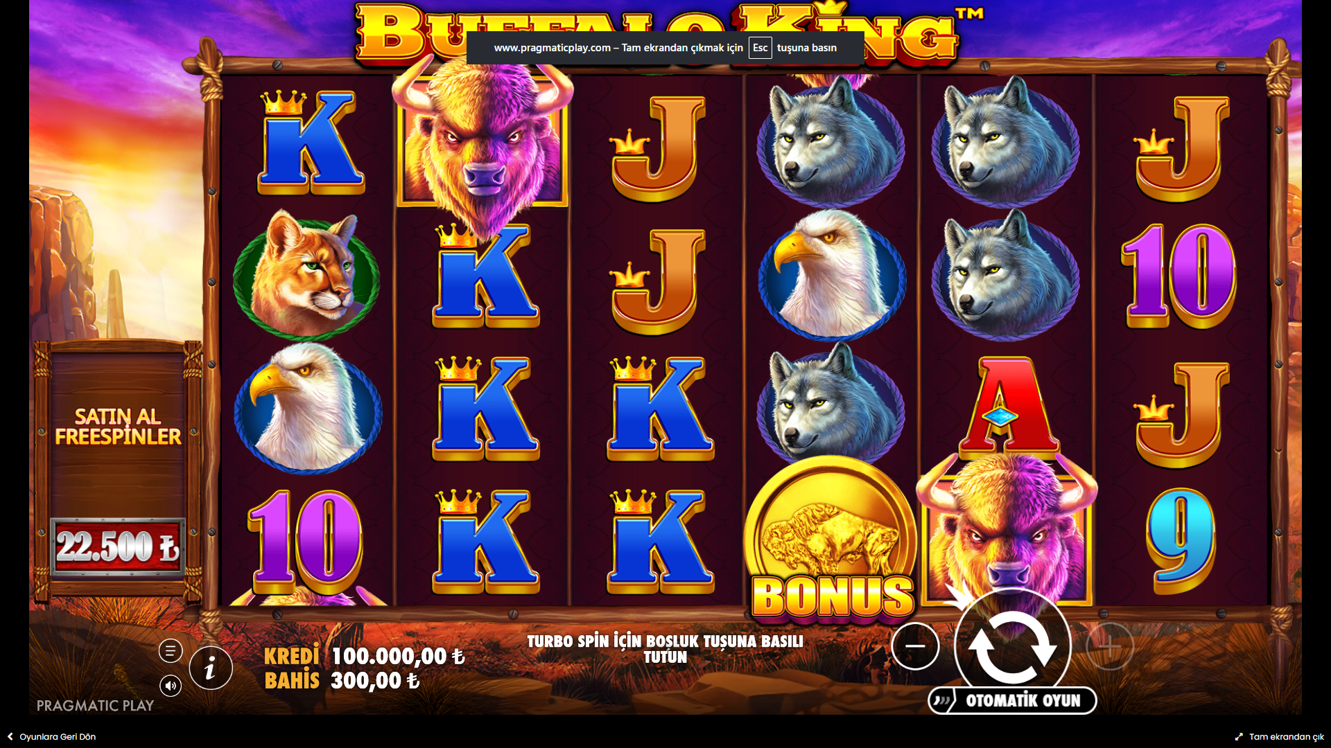 Buffalo King Gameplay