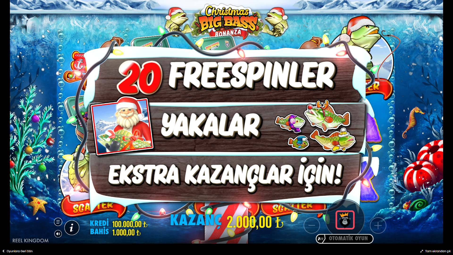 Christmas Big Bass Bonanza Bonus