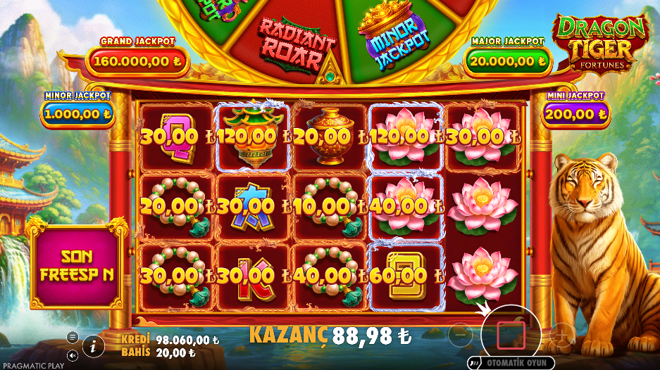 Dragon Tiger Fortunes Bonus