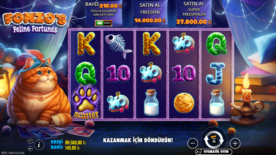 Fonzo's Feline Fortunes Gameplay