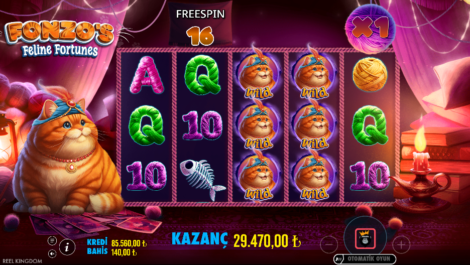 Fonzo's Feline Fortunes Bonus