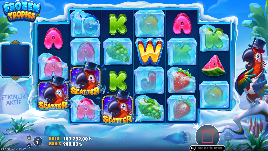 Frozen Tropics Bonus