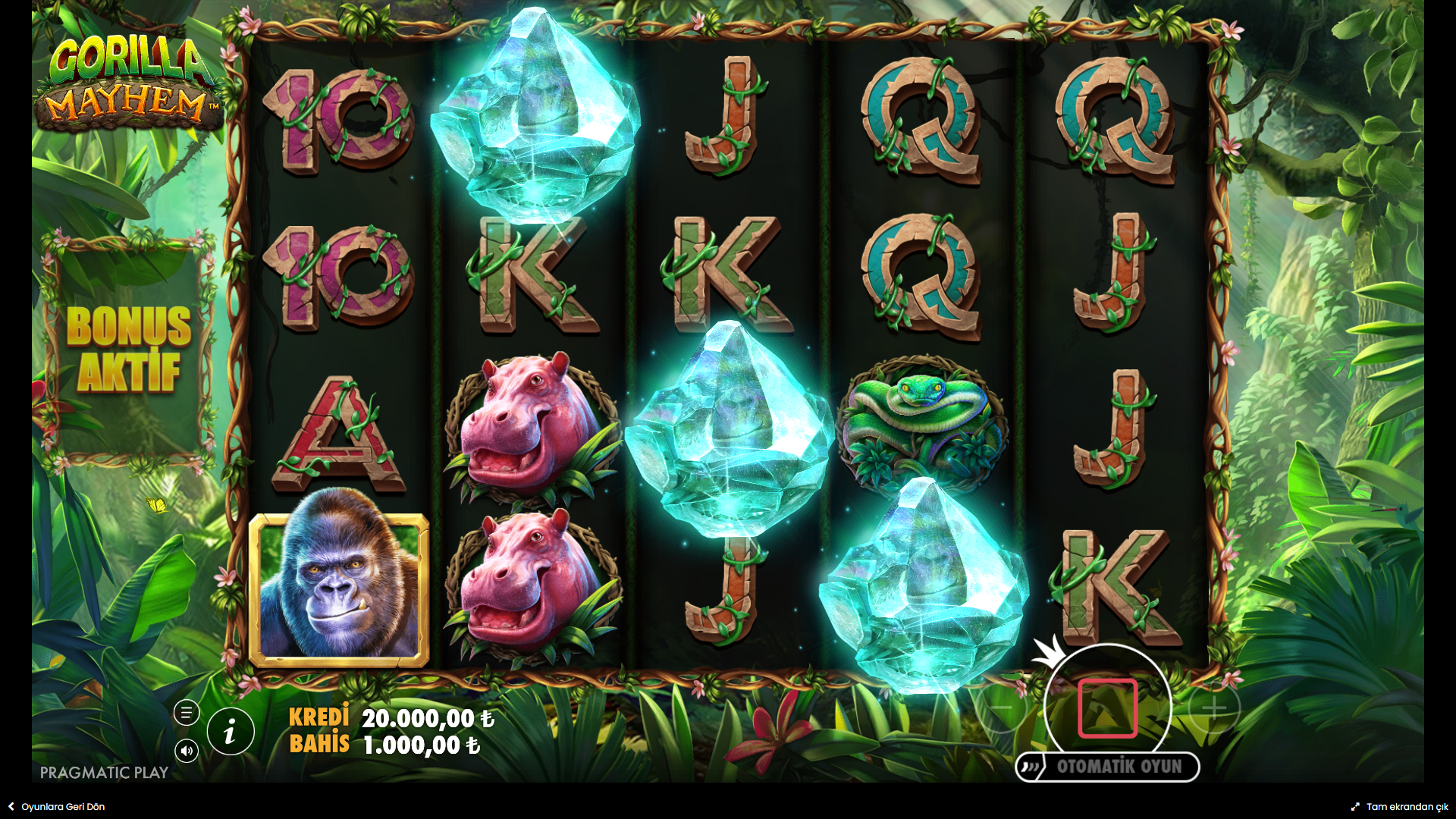 Gorilla Mayhem Bonus