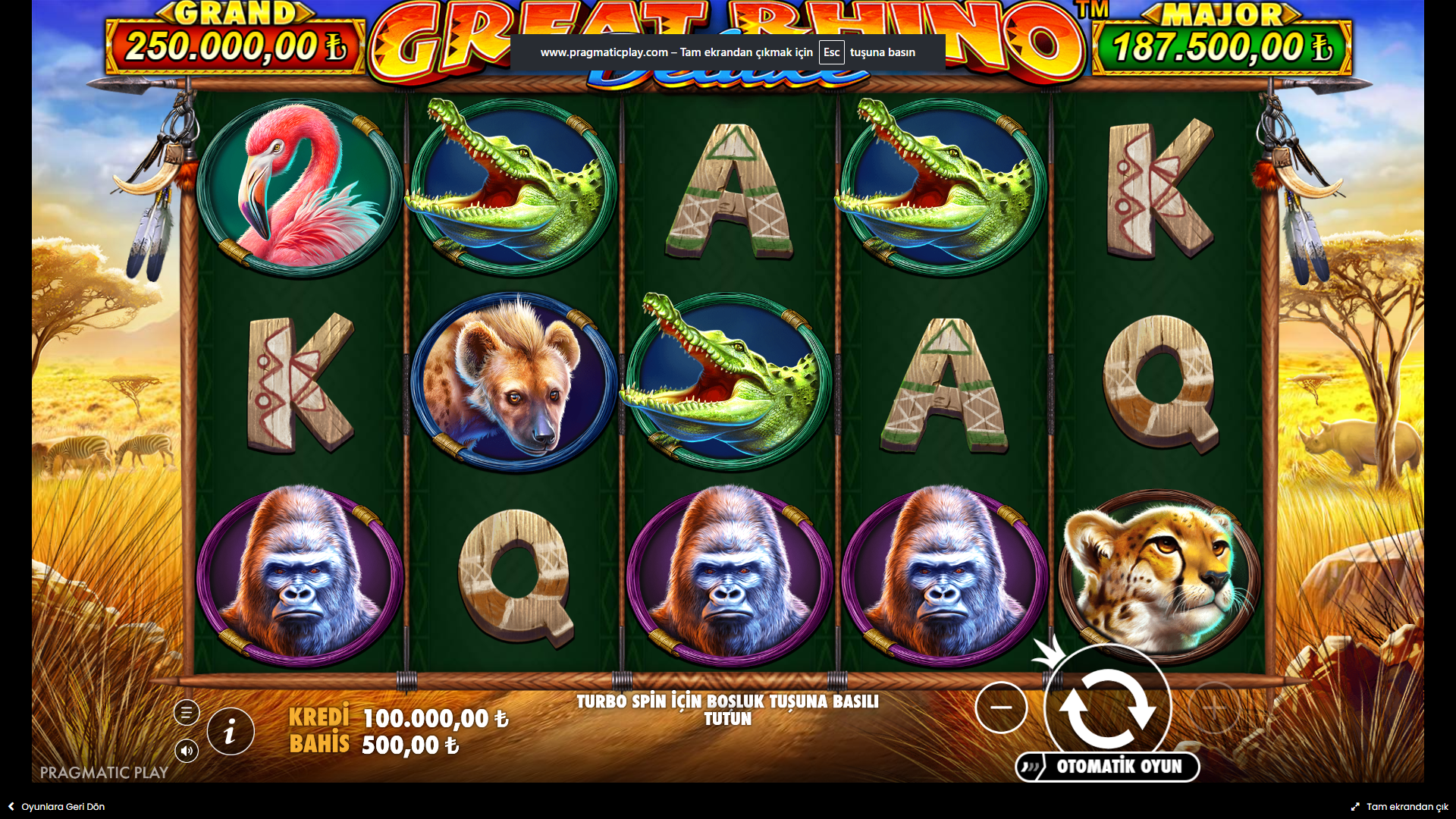 Great Rhino Deluxe Gameplay