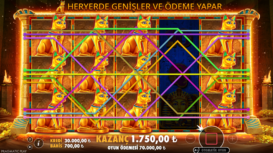 John Hunter and the Book of Tut Megaways Bonus