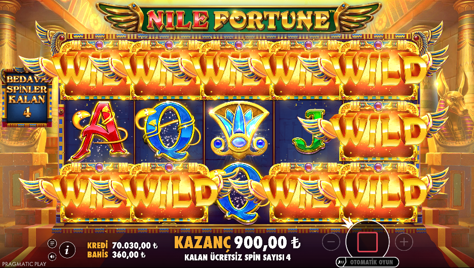Nile Fortune Bonus