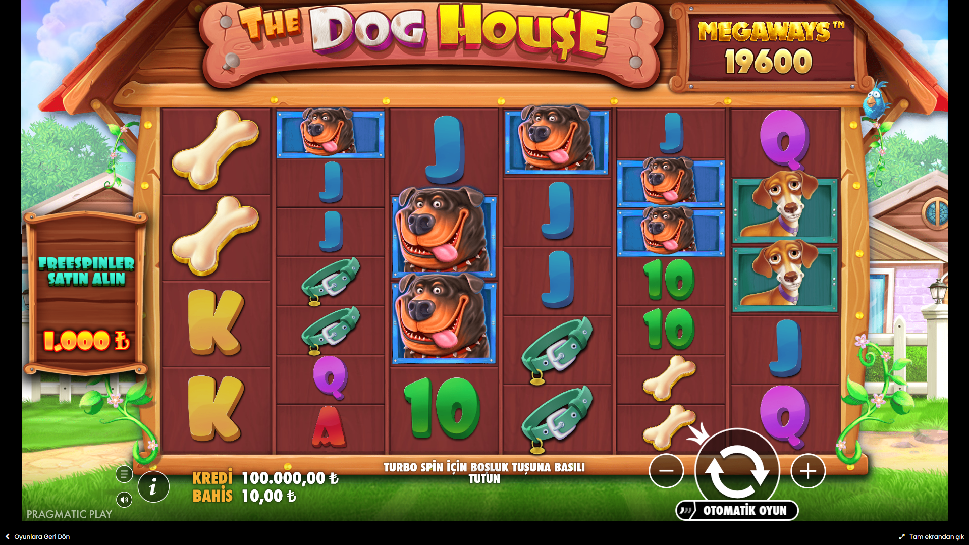 The Dog House Megaways Gameplay