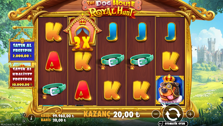 The Dog House Royal Hunt Gameplay