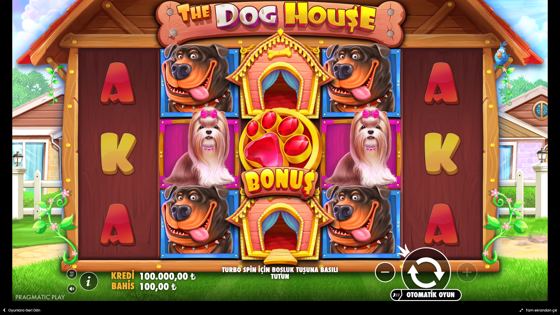 The Dog House Gameplay