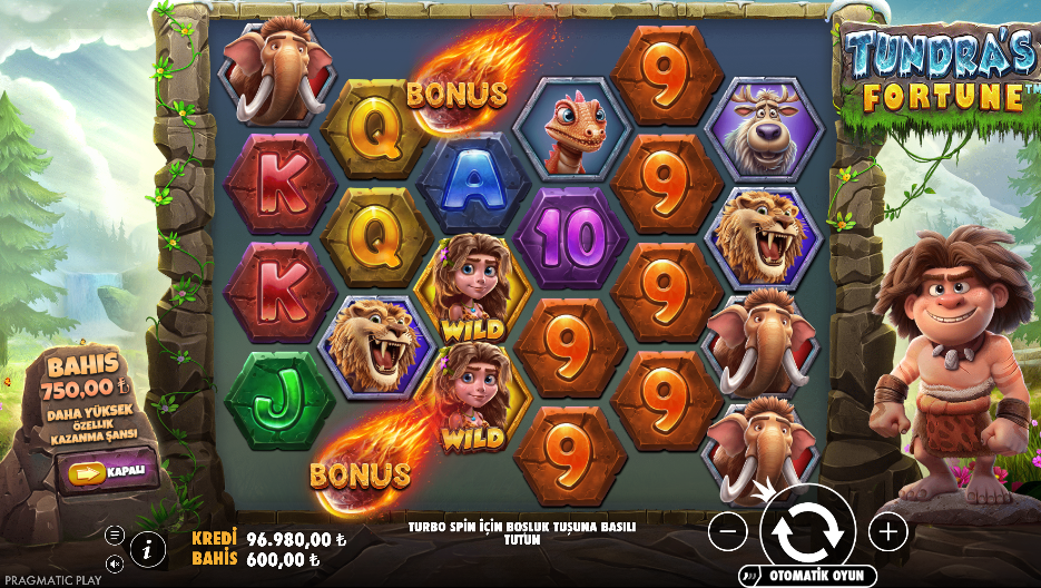 Tundra's Fortune: Gameplay