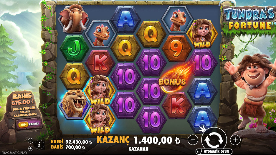 Tundra's Fortune: Bonus