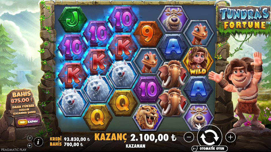 Tundra's Fortune: Bonus