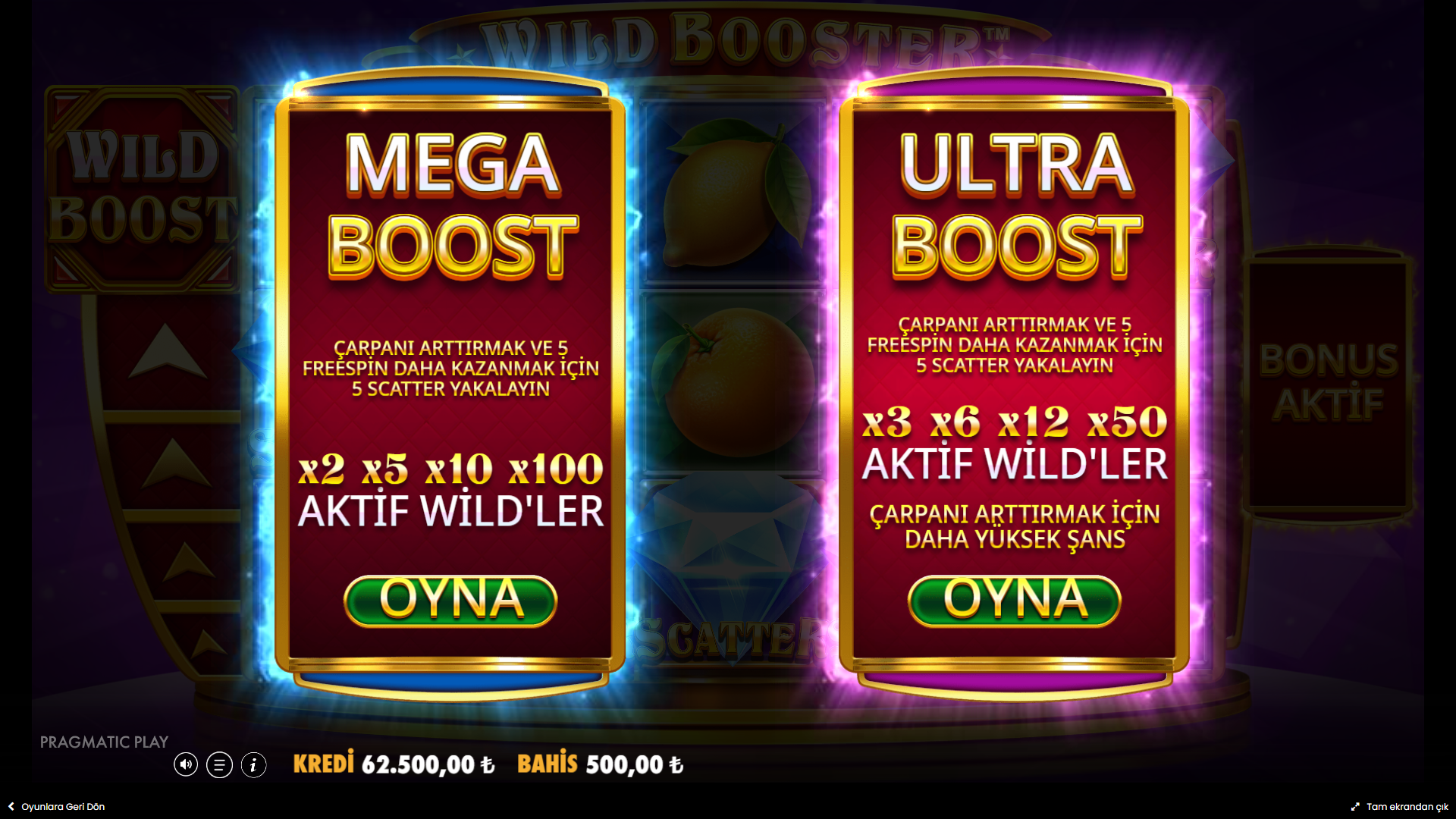 Wild Booster Bonus