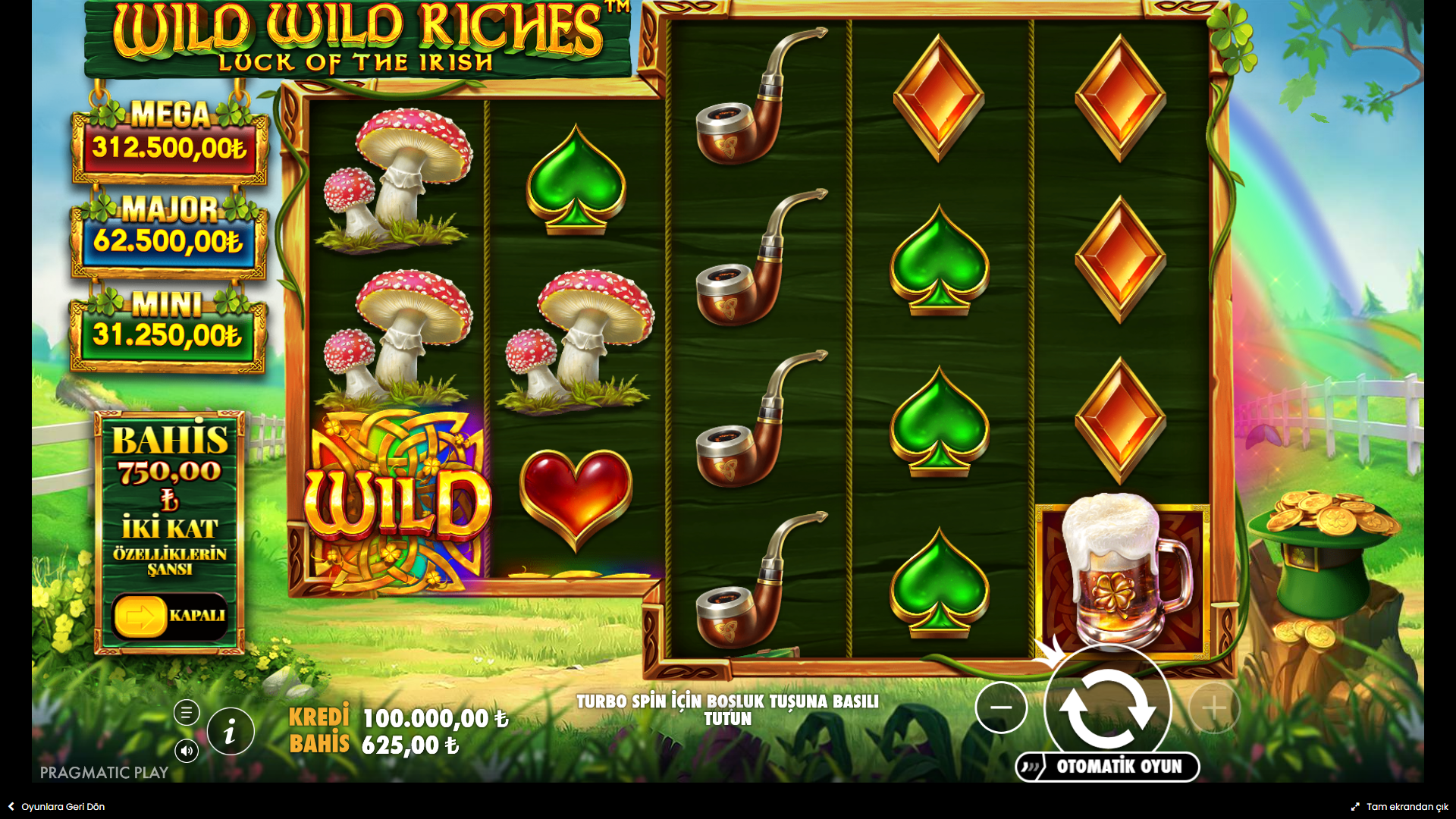 Wild Wild Riches Gameplay