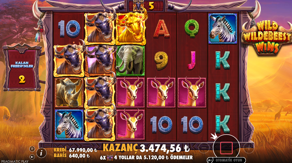 Wild Wildebeest Wins Bonus